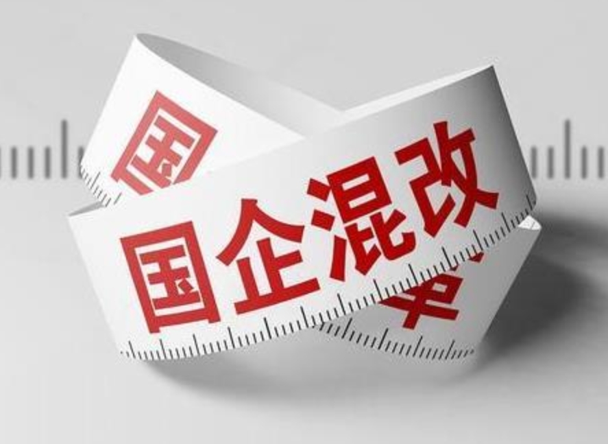 国有企业混改可行性报告包含哪些内容？(图1)